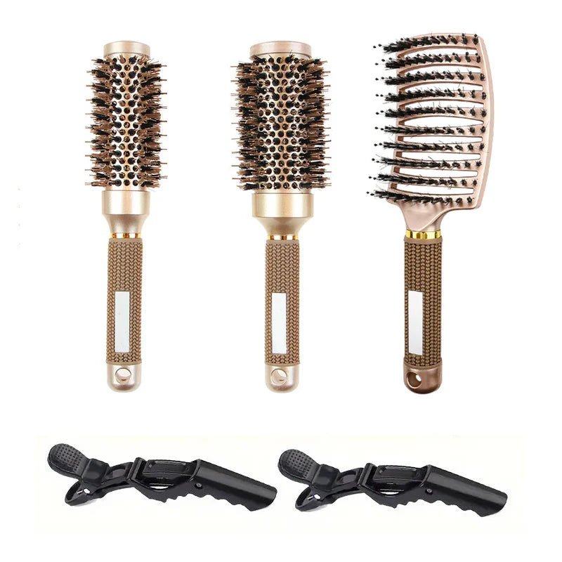 Ziovara – Ionic Boar Bristle Hairbrush Set - ZiovaraSKU_1754334526564_245