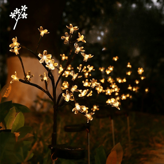 Ziovara – 6 - Pack Solar Wild Garden Lights - ZiovaraSKU_1754338002484_920
